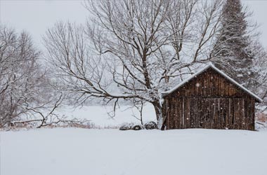 ELSEWHERE MIDWEST